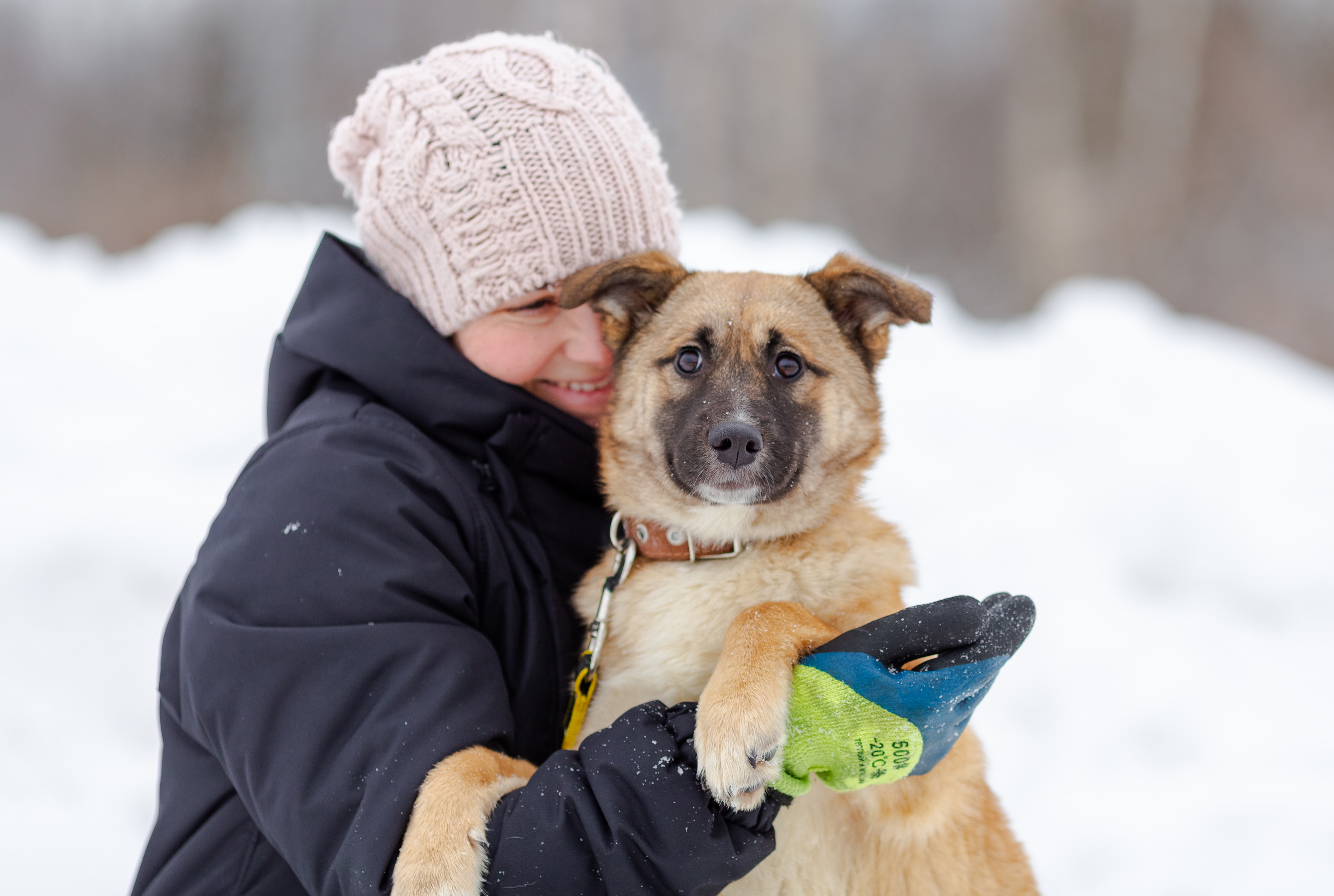 Мисси - фото 4