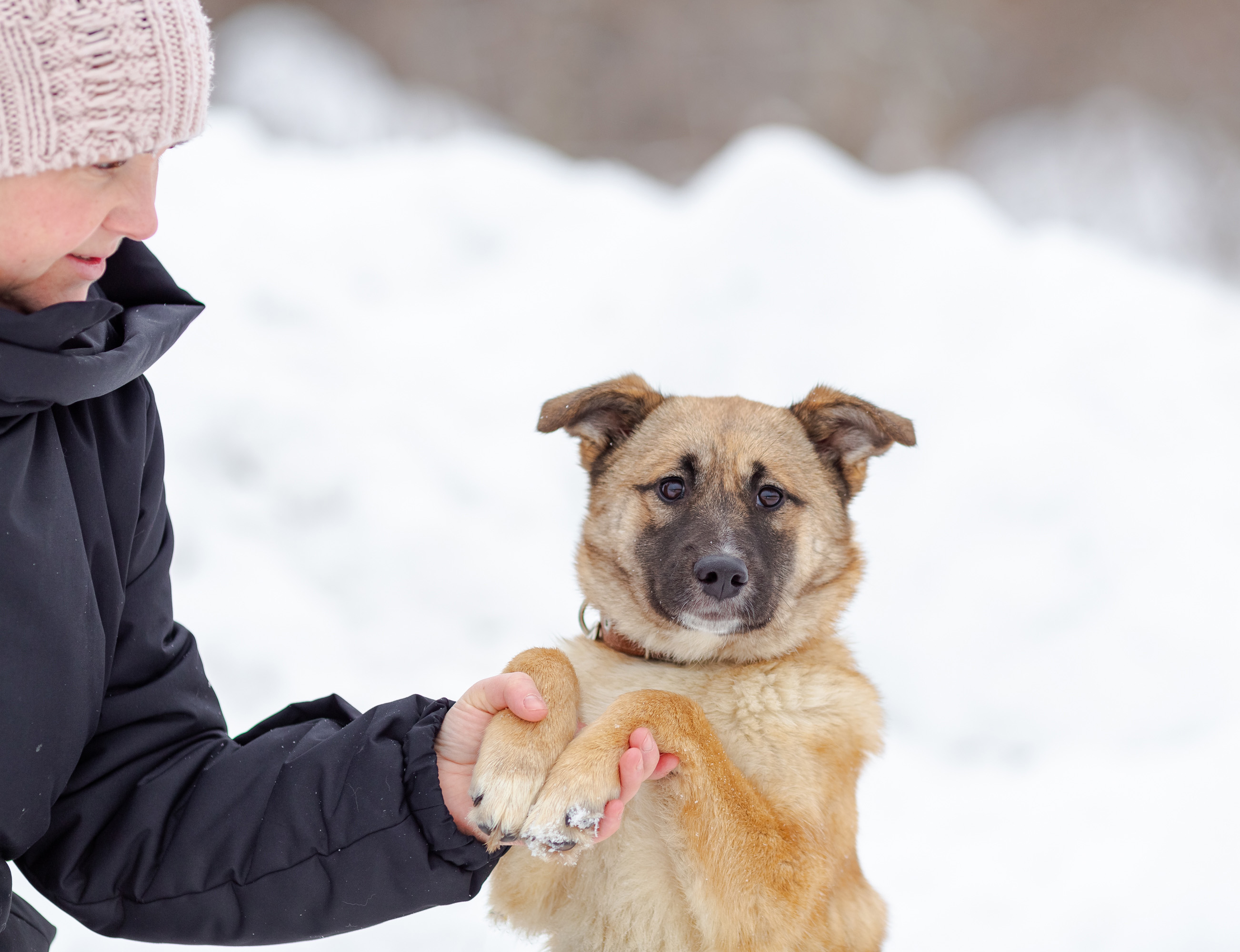 Мисси - фото 8