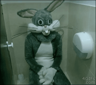 24.gif