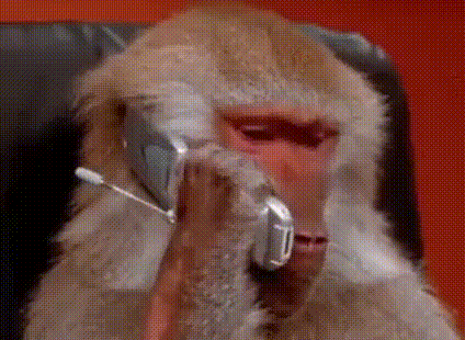 6.gif