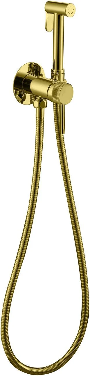Гигиенический душ Allen Brau Priority 5.31A29-GB (с внутренней частью) золото Гигиенический душ Allen Brau Priority 5.31A29-GB (с внутренней частью) золото