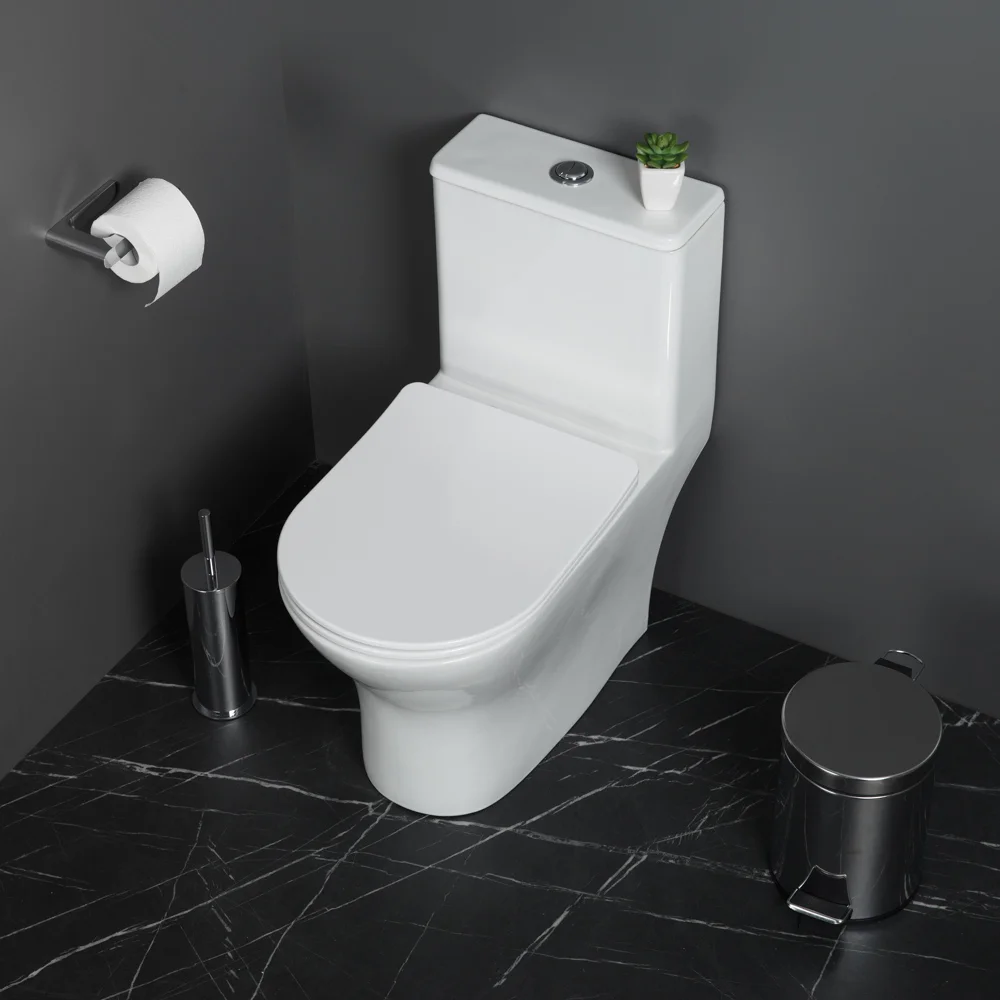 Унитаз напольный BelBagno LOUNGE BB8618CPR-MN/SC с сиденьем — Изображение 9