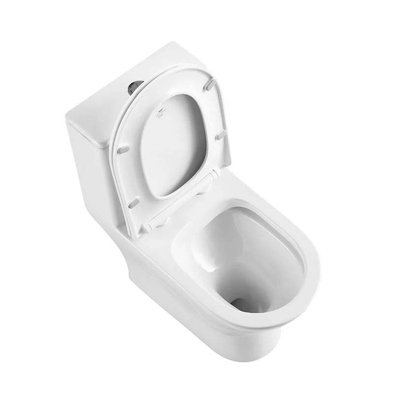 Унитаз напольный BelBagno LOUNGE BB8618CPR-MN/SC с сиденьем — Изображение 2