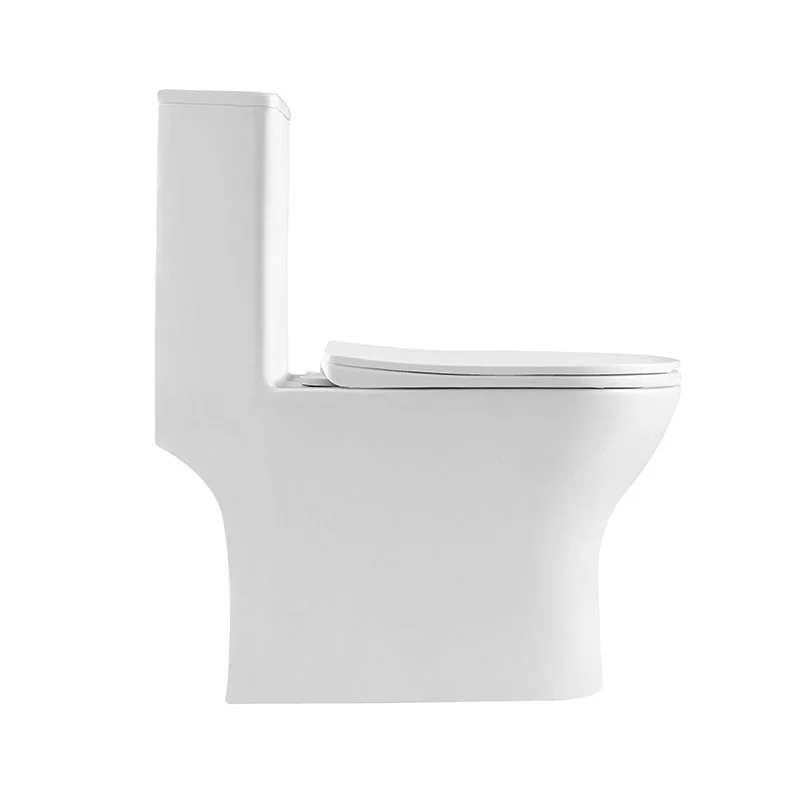 Унитаз напольный BelBagno LOUNGE BB8618CPR-MN/SC с сиденьем — Изображение 3