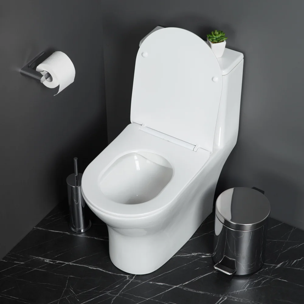 Унитаз напольный BelBagno LOUNGE BB8618CPR-MN/SC с сиденьем — Изображение 7