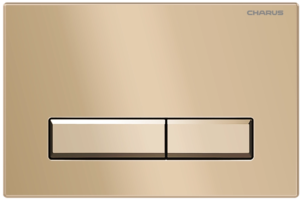 Клавиша смыва CHARUS RAIDEN FP.321.51.01 матовый песок Клавиша смыва CHARUS RAIDEN FP.321.51.01 матовый песок