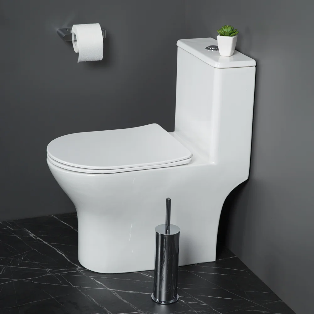 Унитаз напольный BelBagno LOUNGE BB8618CPR-MN/SC с сиденьем — Изображение 6
