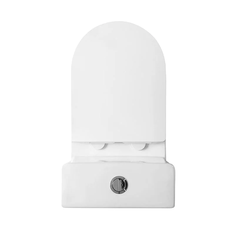 Унитаз напольный BelBagno LOUNGE BB8618CPR-MN/SC с сиденьем — Изображение 5