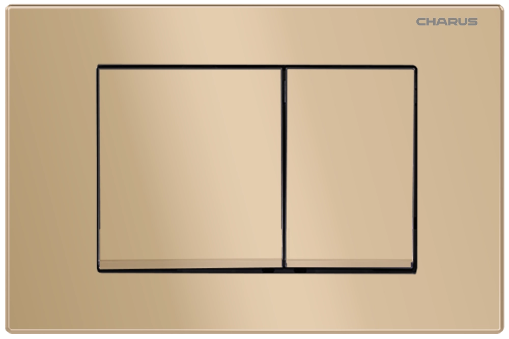 Клавиша смыва CHARUS MINIMALISTA FP.310.51.01 матовый песок Клавиша смыва CHARUS MINIMALISTA FP.310.51.01 матовый песок