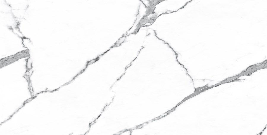 Керамогранит Neodom Matt Statuario Classico Satin 60x120 N20377 Керамогранит Neodom Matt Statuario Classico Satin 60x120 N20377