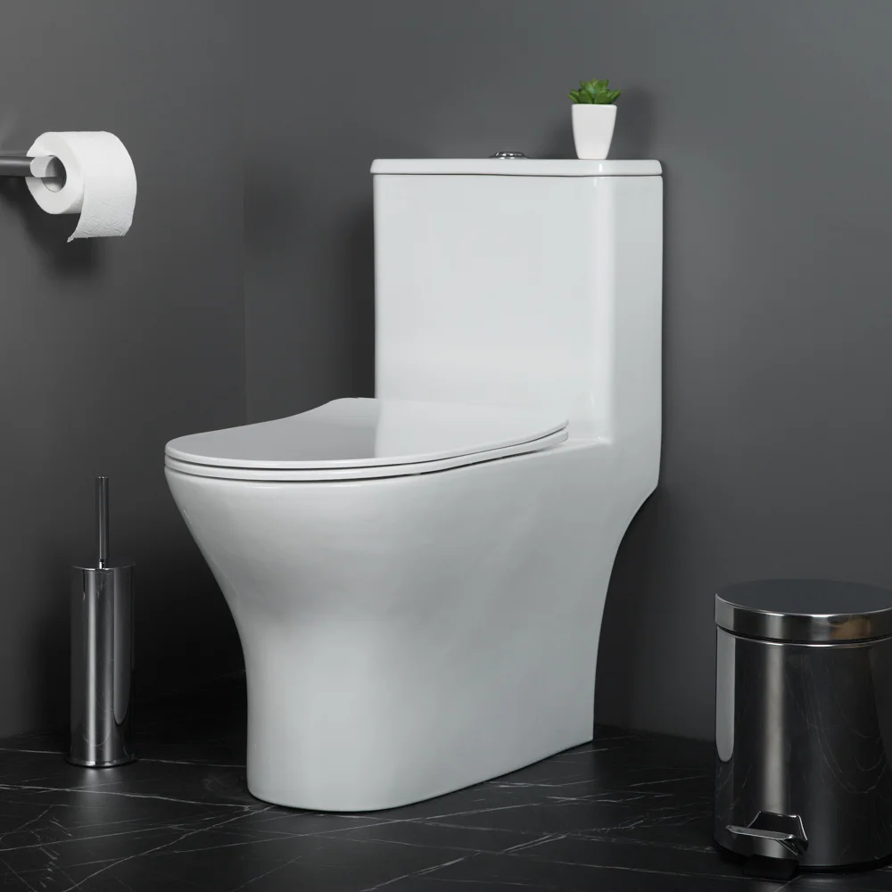 Унитаз напольный BelBagno LOUNGE BB8618CPR-MN/SC с сиденьем — Изображение 8