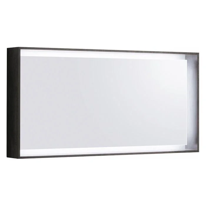 Зеркало Geberit Citterio 118x58 831621000 с подсветкой 835621000 Зеркало Geberit Citterio 118x58 831621000 с подсветкой 835621000