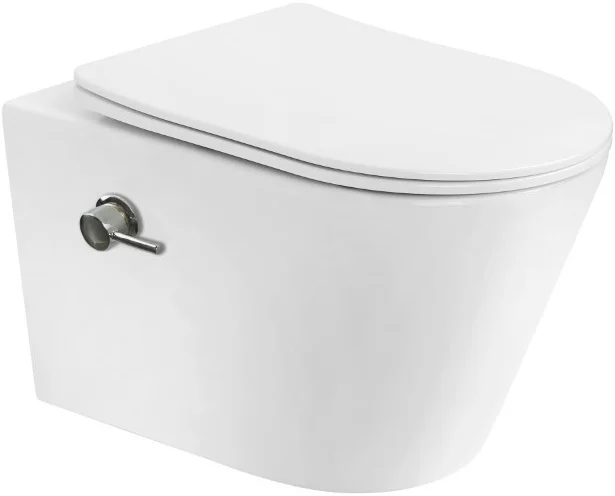 Унитаз подвесной Boheme AVVA 973-SET-2-MW с функцией биде, белый матовый c крышкой Унитаз подвесной Boheme AVVA 973-SET-2-MW с функцией биде, белый матовый c крышкой