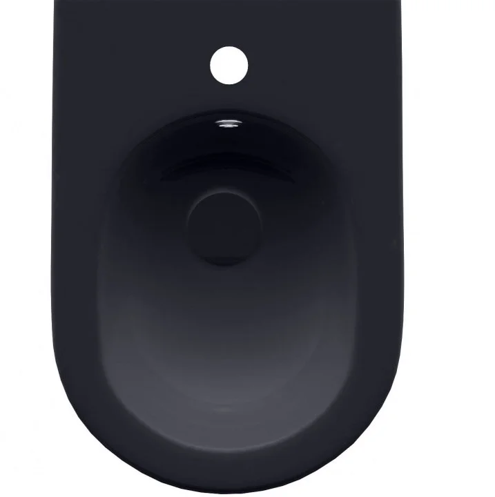 Биде напольное Allen Brau Reality 4.32005.AN антрацит Биде напольное Allen Brau Reality 4.32005.AN антрацит