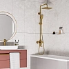 Душевая система WasserKRAFT A15501 золото