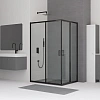 Душевой уголок RGW CL-44B 800x1200 мм 32094482-14 черный Easy Clean
