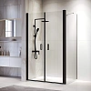 Душевой уголок RGW PA-144B (PA-104B+Z-050-2B+O-204B) 1200x800 мм 060814428-14 черный Easy Clean