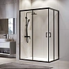Душевой уголок RGW PA-246B 800x1000 мм 030824680-14 черный Easy Clean