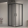 Душевой уголок RGW PA-31B 1000x1000 мм 02083100-14 черный Easy Clean