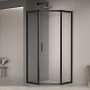 Душевой уголок RGW PA-86B 1000x1000 мм 38088600-14 черный Easy Clean