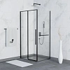 Душевой уголок RGW SV-42-1B (SV-12B + Z-060-2B) 1300x1000 мм 323242130-014 черный Easy Clean