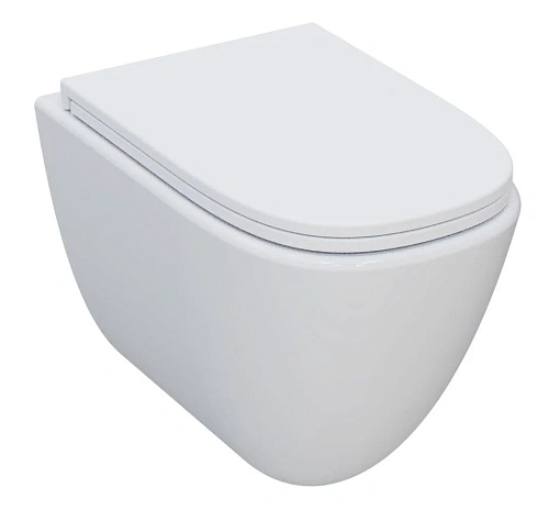 Душевой шланг AQUAme AQM2014PRO Унитаз подвесной сиденье SoftClose, технология смыва Invisible, скрыт крепеж. 520х360х400 Душевой шланг AQUAme AQM2014PRO Унитаз подвесной сиденье SoftClose, технология смыва Invisible, скрыт крепеж. 520х360х400