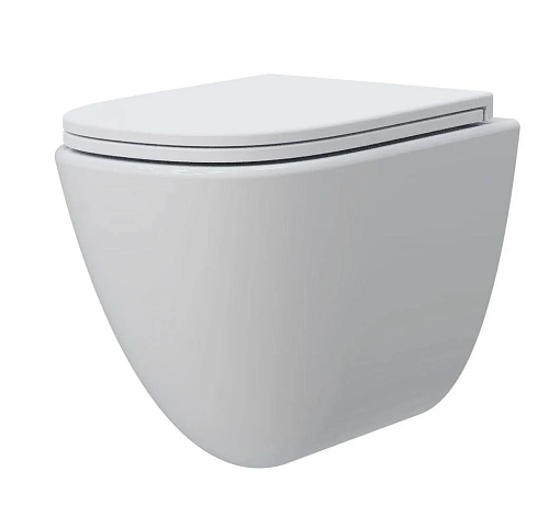 Душевой шланг AQUAme AQM2014PRO Унитаз подвесной сиденье SoftClose, технология смыва Invisible, скрыт крепеж. 520х360х400 Душевой шланг AQUAme AQM2014PRO Унитаз подвесной сиденье SoftClose, технология смыва Invisible, скрыт крепеж. 520х360х400