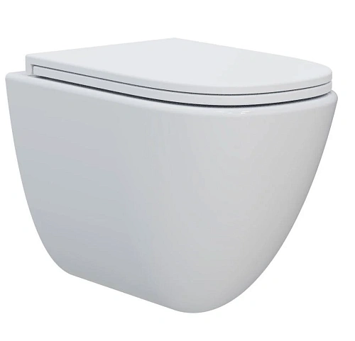 Душевой шланг AQUAme AQM2014PRO Унитаз подвесной сиденье SoftClose, технология смыва Invisible, скрыт крепеж. 520х360х400 Душевой шланг AQUAme AQM2014PRO Унитаз подвесной сиденье SoftClose, технология смыва Invisible, скрыт крепеж. 520х360х400