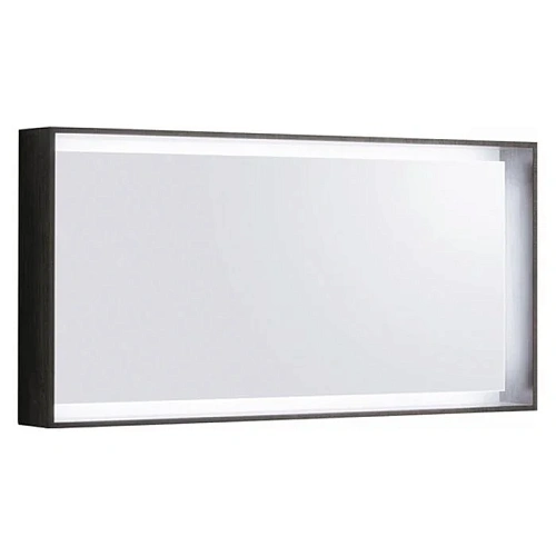 Зеркало Geberit Citterio 118x58 831621000 с подсветкой 835621000 Зеркало Geberit Citterio 118x58 831621000 с подсветкой 835621000