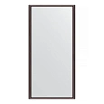 Зеркало в багетной раме Evoform Definite BY 0690 48 x 98 см, махагон Зеркало в багетной раме Evoform Definite BY 0690 48 x 98 см, махагон