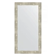 Зеркало в багетной раме Evoform Definite BY 3076 54 x 104 см, алюминий Зеркало в багетной раме Evoform Definite BY 3076 54 x 104 см, алюминий