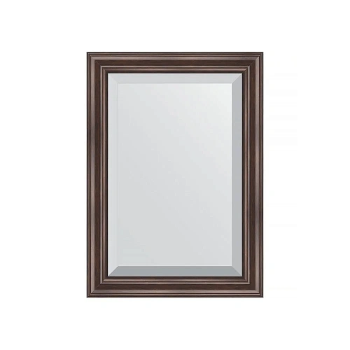 Зеркало в багетной раме Evoform Exclusive BY 1124 51 x 71 см, палисандр Зеркало в багетной раме Evoform Exclusive BY 1124 51 x 71 см, палисандр