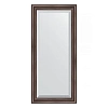 Зеркало в багетной раме Evoform Exclusive BY 1144 51 x 111 см, палисандр