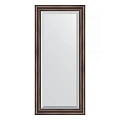 Зеркало в багетной раме Evoform Exclusive BY 1144 51 x 111 см, палисандр Зеркало в багетной раме Evoform Exclusive BY 1144 51 x 111 см, палисандр