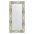 Зеркало в багетной раме Evoform Exclusive BY 1150 56 x 116 см, алюминий Зеркало в багетной раме Evoform Exclusive BY 1150 56 x 116 см, алюминий