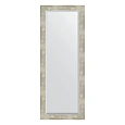 Зеркало в багетной раме Evoform Exclusive BY 1159 51 x 131 см, алюминий Зеркало в багетной раме Evoform Exclusive BY 1159 51 x 131 см, алюминий