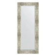Зеркало в багетной раме Evoform Exclusive BY 1160 56 x 136 см, алюминий Зеркало в багетной раме Evoform Exclusive BY 1160 56 x 136 см, алюминий