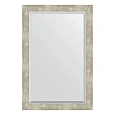 Зеркало в багетной раме Evoform Exclusive BY 1179 61 x 91 см, алюминий Зеркало в багетной раме Evoform Exclusive BY 1179 61 x 91 см, алюминий