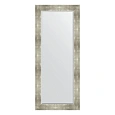 Зеркало в багетной раме Evoform Exclusive BY 1190 66 x 156 см, алюминий Зеркало в багетной раме Evoform Exclusive BY 1190 66 x 156 см, алюминий
