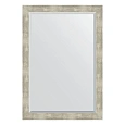 Зеркало в багетной раме Evoform Exclusive BY 1199 71 x 101 см, алюминий Зеркало в багетной раме Evoform Exclusive BY 1199 71 x 101 см, алюминий
