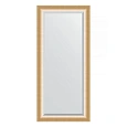 Зеркало в багетной раме Evoform Exclusive BY 1211 76 x 166 см, травленое золото Зеркало в багетной раме Evoform Exclusive BY 1211 76 x 166 см, травленое золото