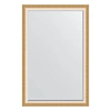 Зеркало в багетной раме Evoform Exclusive BY 1221 116 x 176 см, травленое золото