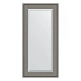 Зеркало в багетной раме Evoform Exclusive BY 1245 56 x 116 см, хамелеон Зеркало в багетной раме Evoform Exclusive BY 1245 56 x 116 см, хамелеон