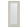 Зеркало в багетной раме Evoform Exclusive BY 1266 63 x 148 см, травленое золото Зеркало в багетной раме Evoform Exclusive BY 1266 63 x 148 см, травленое золото