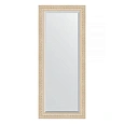 Зеркало в багетной раме Evoform Exclusive BY 1282 65 x 155 см, старый гипс Зеркало в багетной раме Evoform Exclusive BY 1282 65 x 155 см, старый гипс