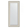 Зеркало в багетной раме Evoform Exclusive BY 1286 68 x 158 см, травленое серебро Зеркало в багетной раме Evoform Exclusive BY 1286 68 x 158 см, травленое серебро