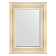 Зеркало в багетной раме Evoform Exclusive BY 3393 59 x 79 см, травленое серебро Зеркало в багетной раме Evoform Exclusive BY 3393 59 x 79 см, травленое серебро