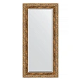 Зеркало в багетной раме Evoform Exclusive BY 3488 55 x 115 см, виньетка античная бронза Зеркало в багетной раме Evoform Exclusive BY 3488 55 x 115 см, виньетка античная бронза