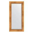 Зеркало в багетной раме Evoform Exclusive BY 3490 56 x 116 см, римское золото Зеркало в багетной раме Evoform Exclusive BY 3490 56 x 116 см, римское золото