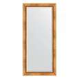 Зеркало в багетной раме Evoform Exclusive BY 3594 76 x 166 см, римское золото Зеркало в багетной раме Evoform Exclusive BY 3594 76 x 166 см, римское золото